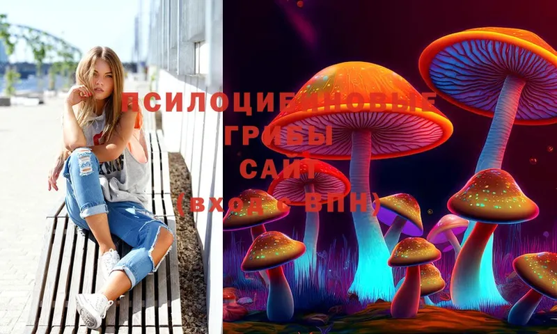 Галлюциногенные грибы MAGIC MUSHROOMS Дудинка